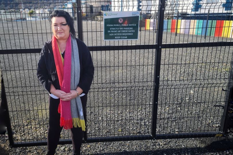 Plea to identify \u0026#39;bigger\u0026#39; site for new leisure centre in Co Down