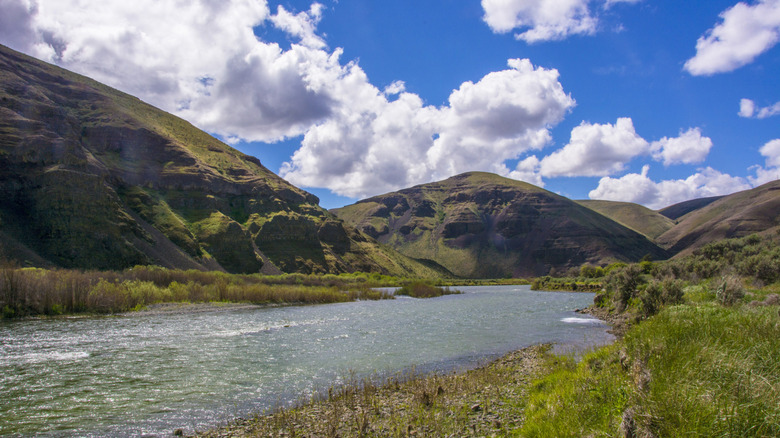 Oregon's Second-Largest State Park Has Scenic Plunging Canyons, Vast ...