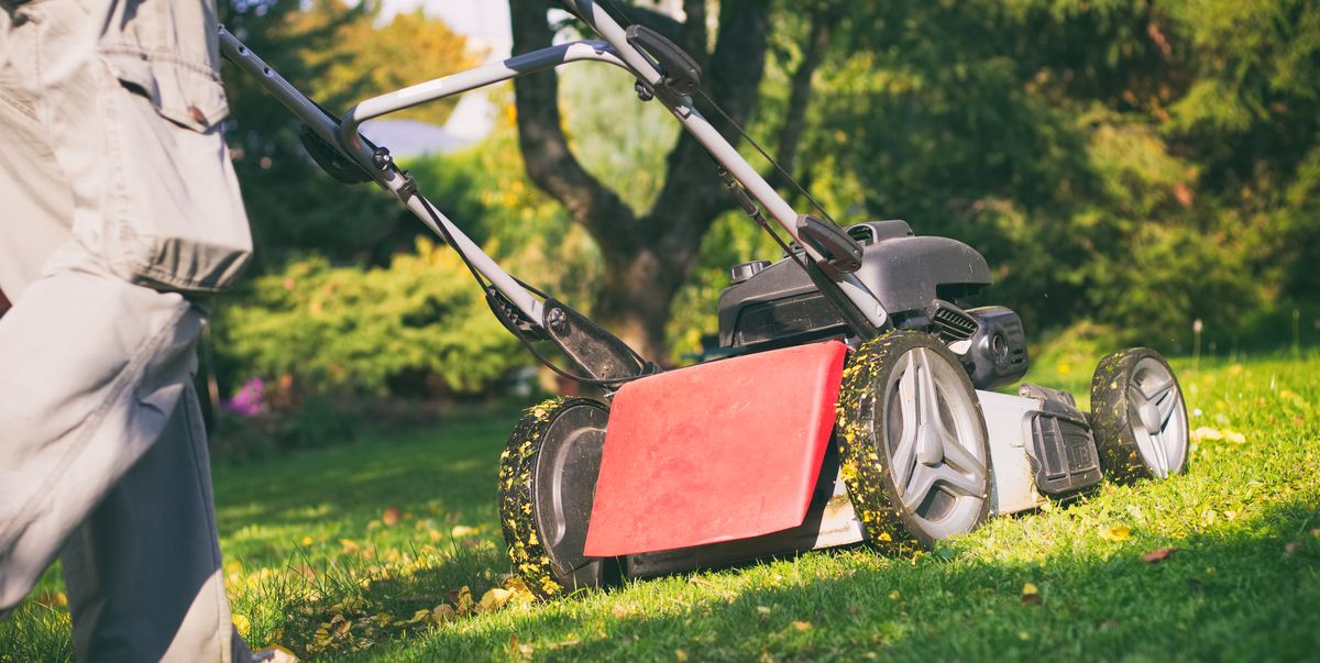 The common lawn-care mistake you’re probably making every week
