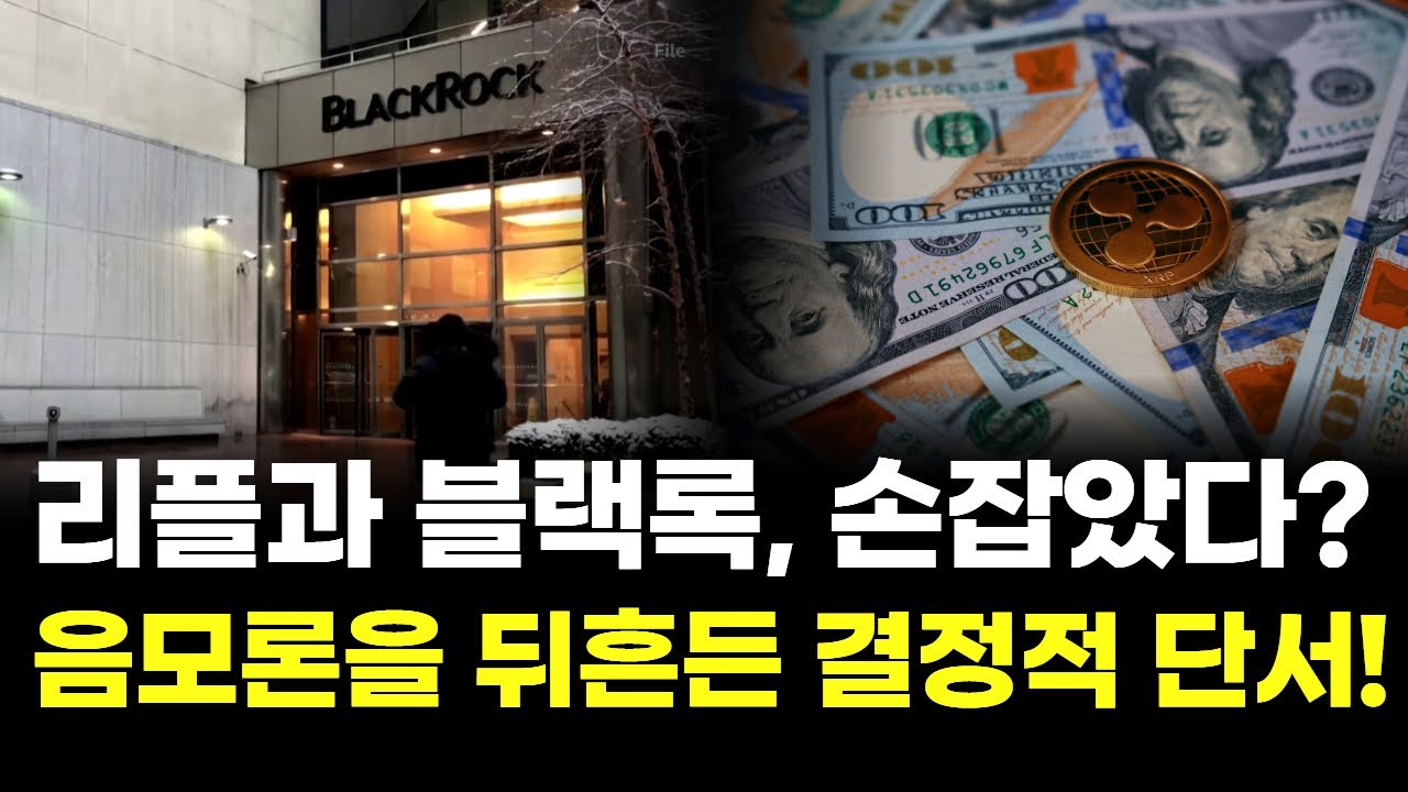 리플과 블랙록, 이미 손잡았다? 음모론을 뒤흔든 결정적 단서! | Watch