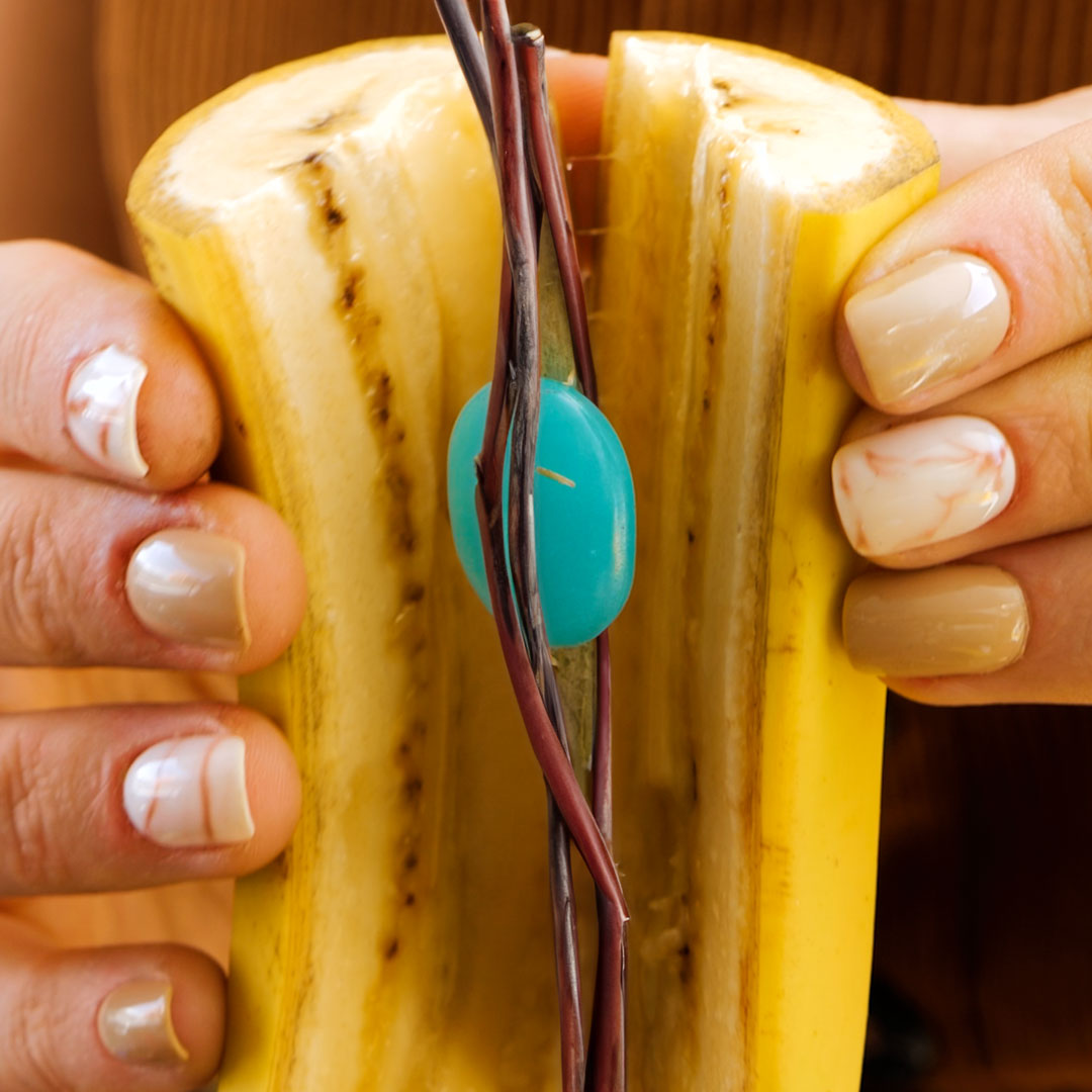 Grow, hack, repeat with time saving gardening hacks🌳