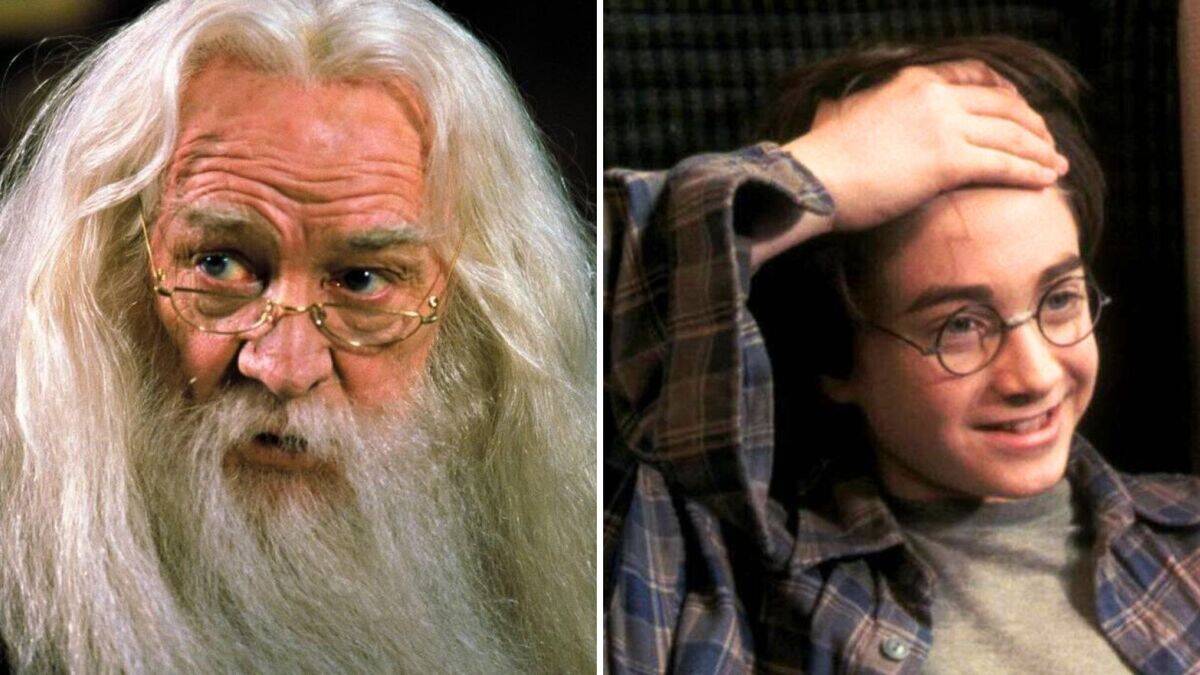 Trivia About The 'Harry Potter' Films Every Wizard Knows