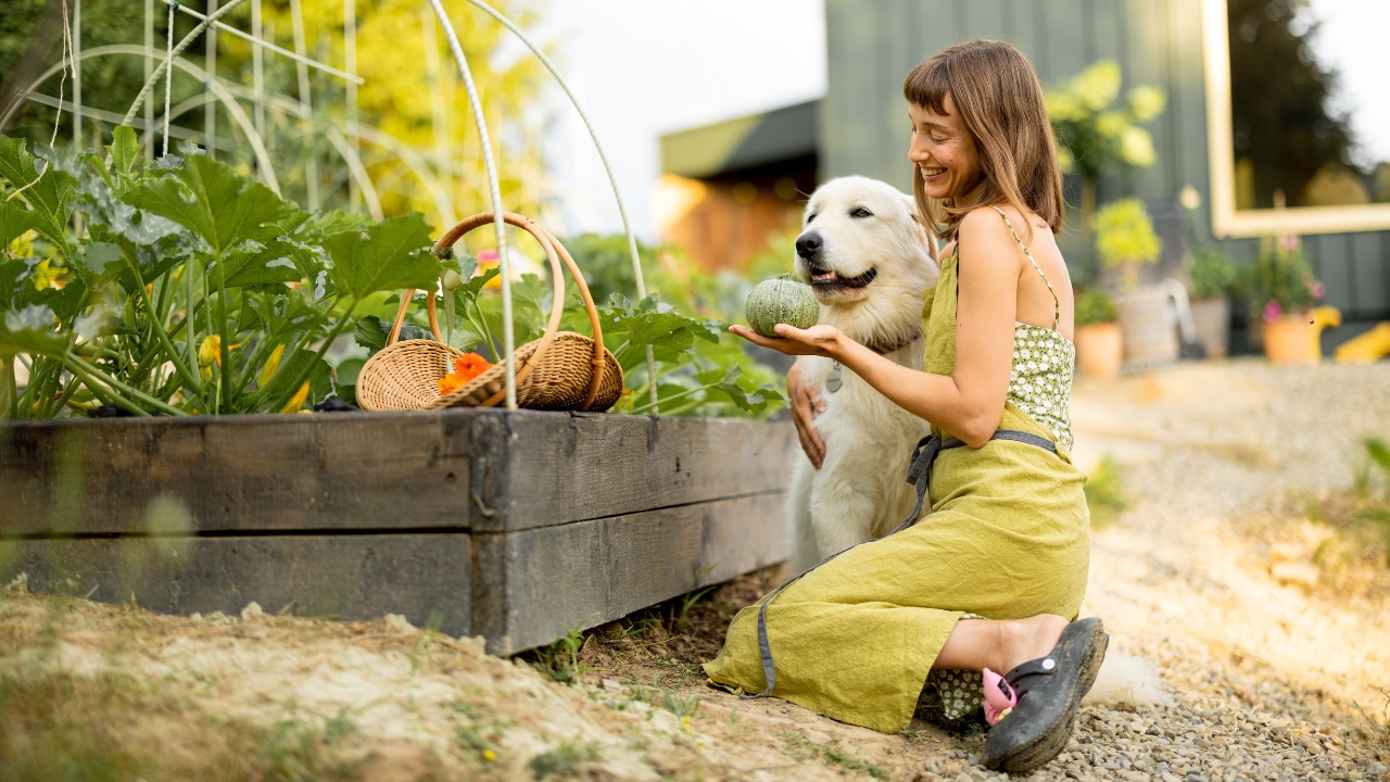 How to Keep a Dog Out of a Flower Bed: Easy and Effective Tips