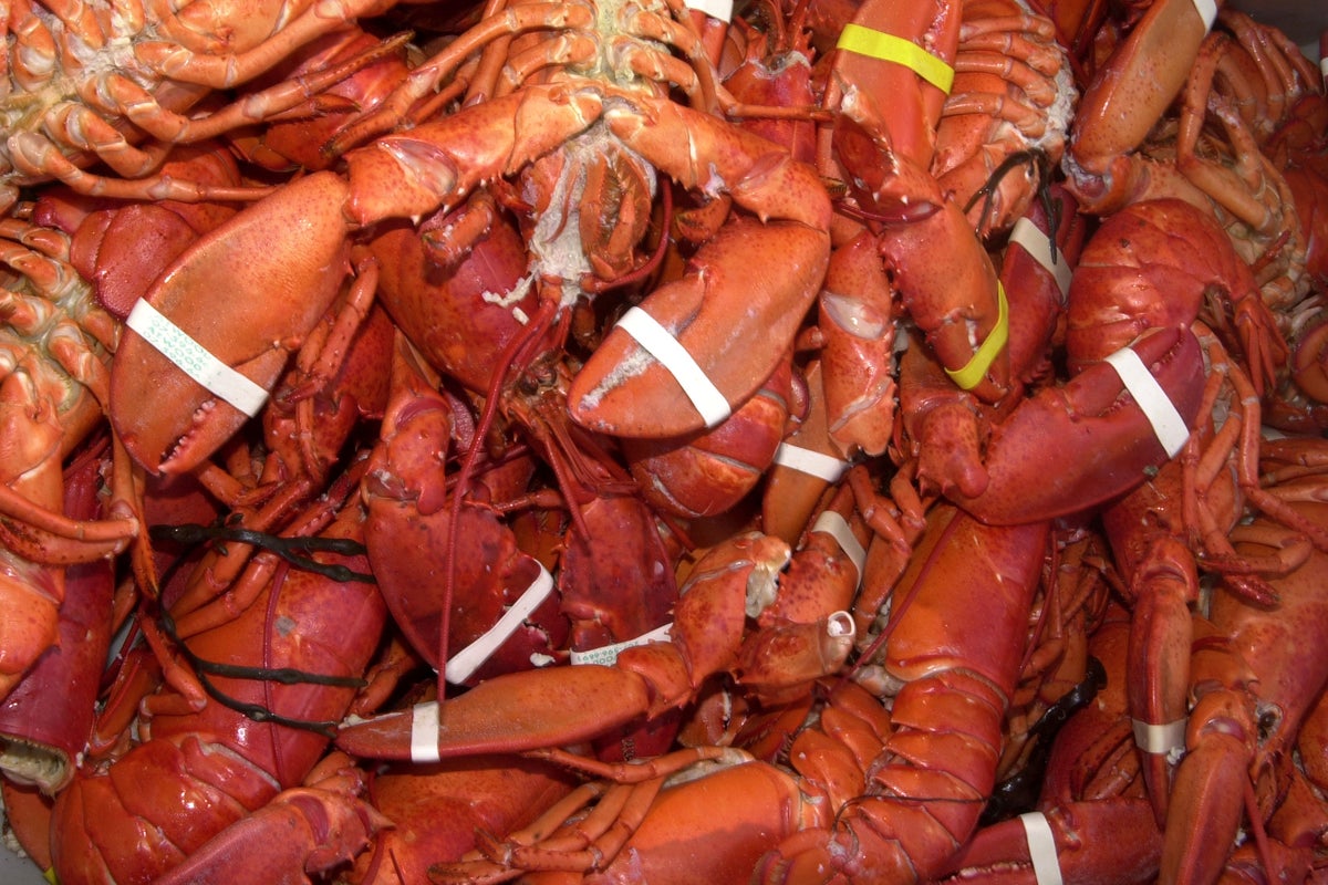 Shipment of $400K worth of lobsters hijacked en route to Costco stores<br><br>