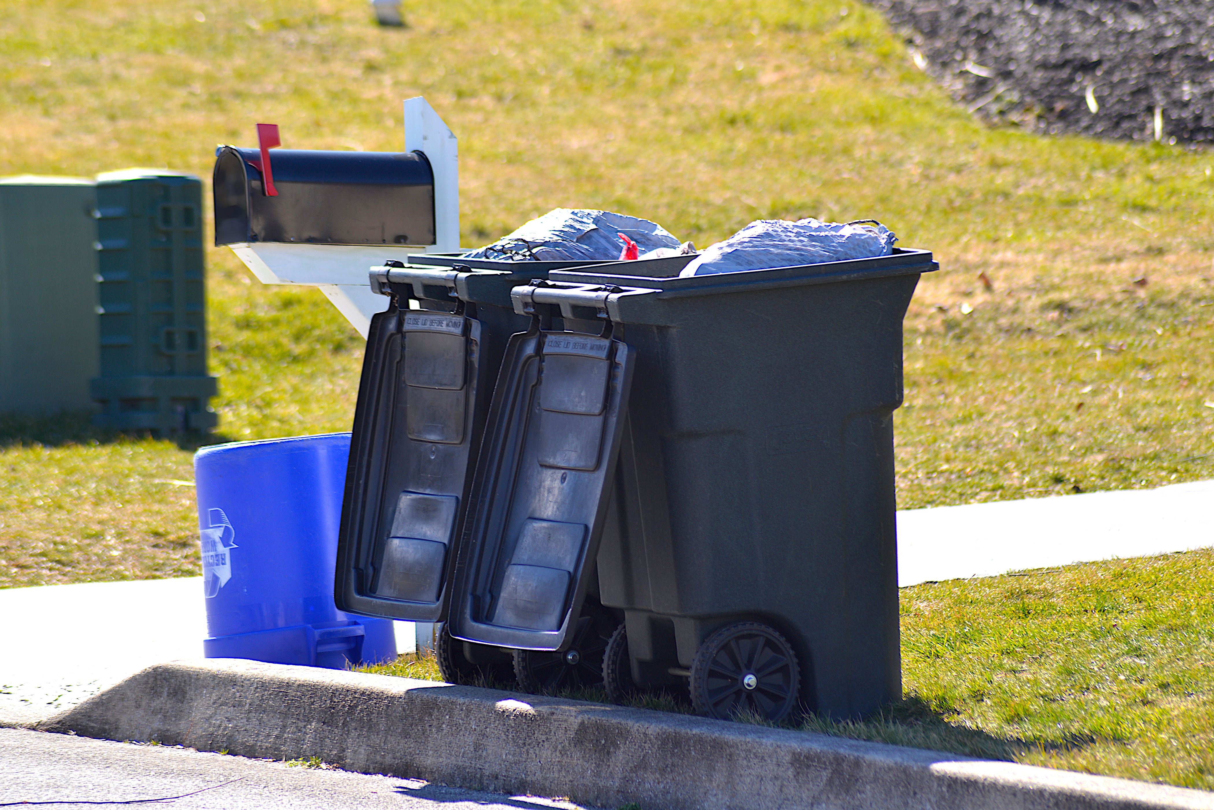 Garbage and recycling bins by a residential mailbox on a curb, awaiting collection day
