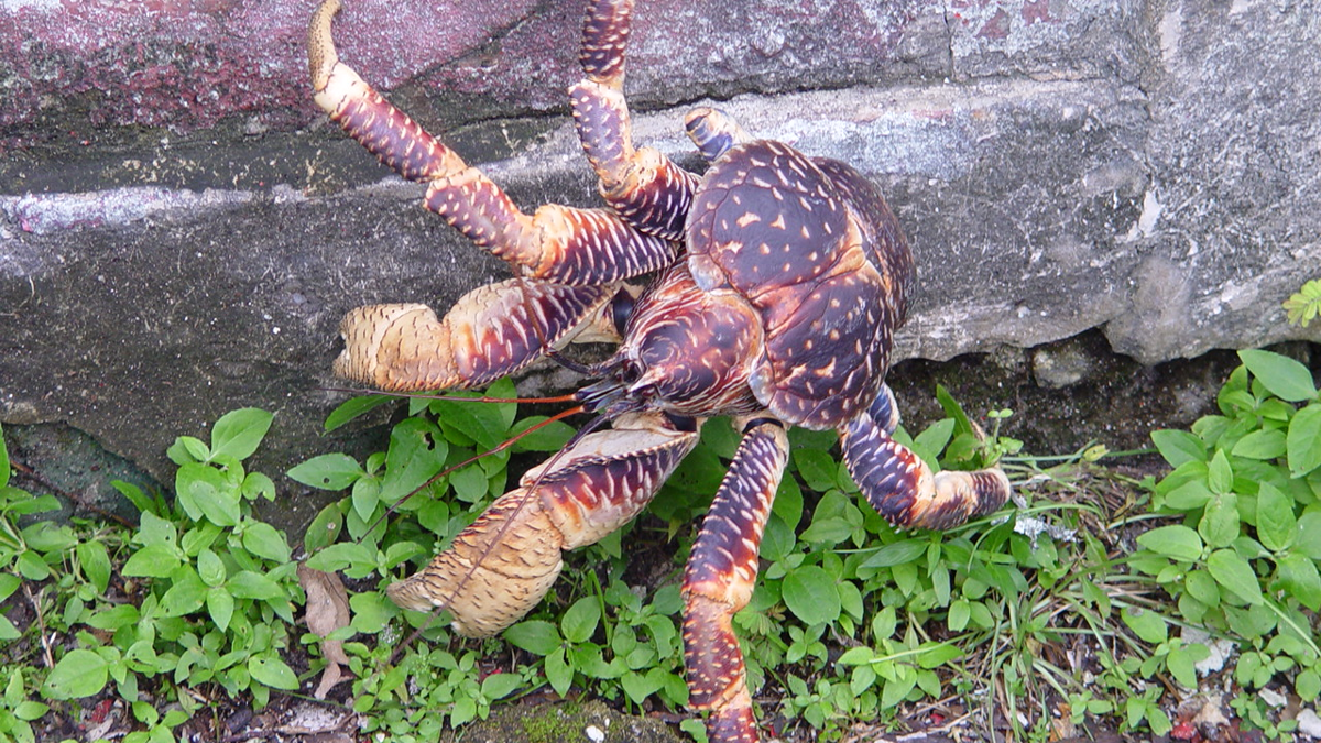 Featured Image