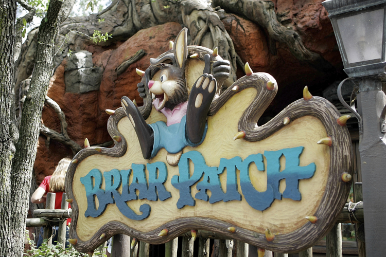 Featured Image