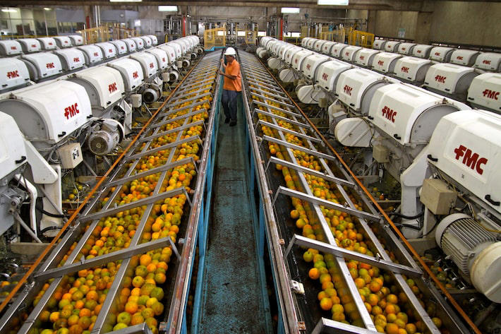 Indústria de suco de laranjas Cutrale, no Brasil. Foto: Celio Messias/Estadão