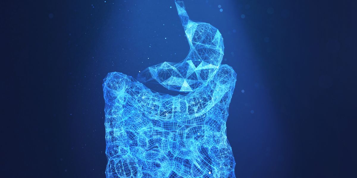 Scientists May Have Found Humanity’s Sixth Sense