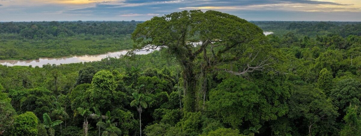 Ecuador\u2019s new protected areas law sparks debate over security, development
