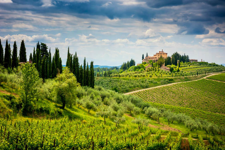 Road trip of the Chianti towns: Italy's famous wine region [2026 update]