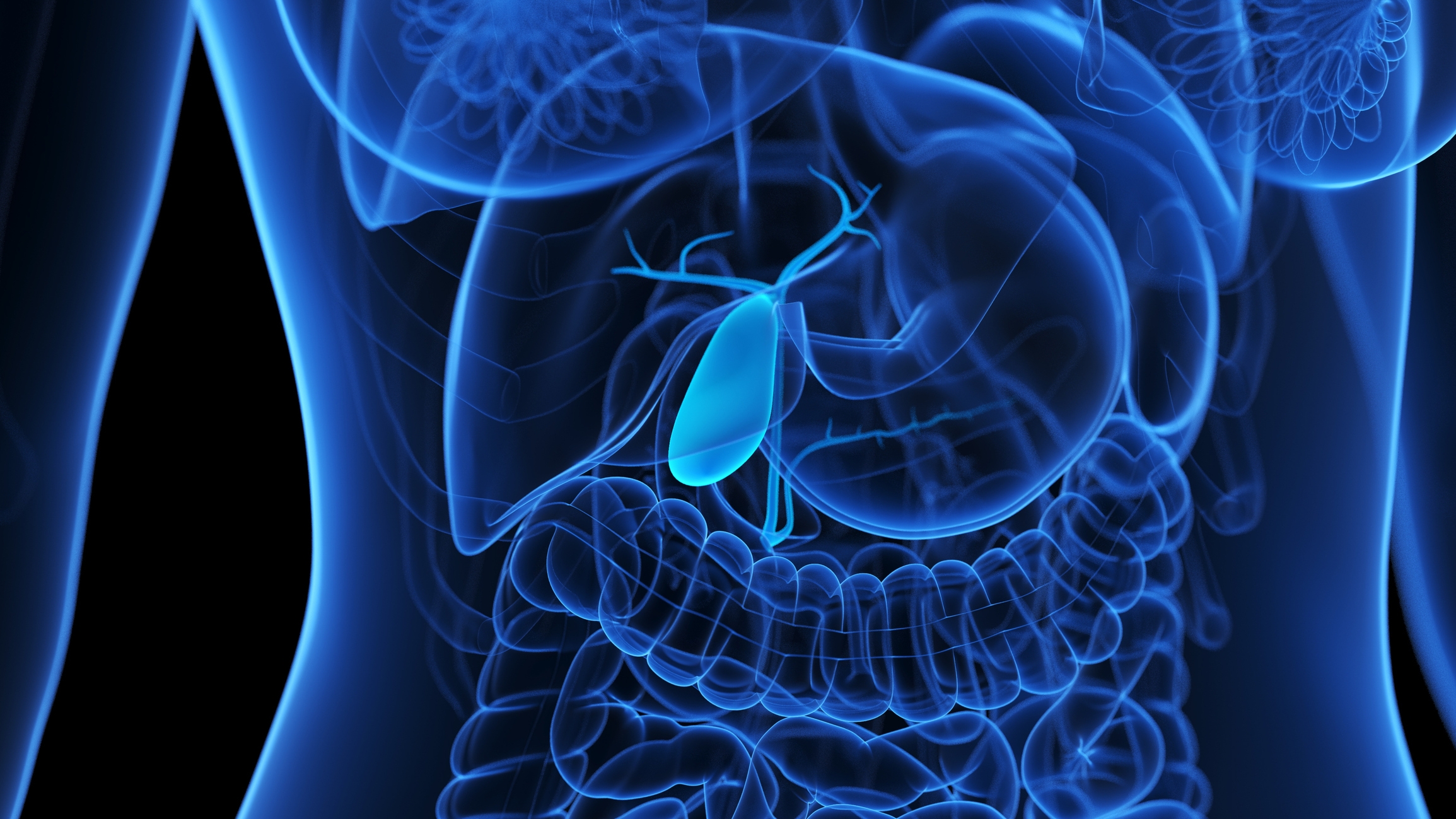 Illustration of a human digestive system highlighting a small bug or virus within the intestines, representing a health concept