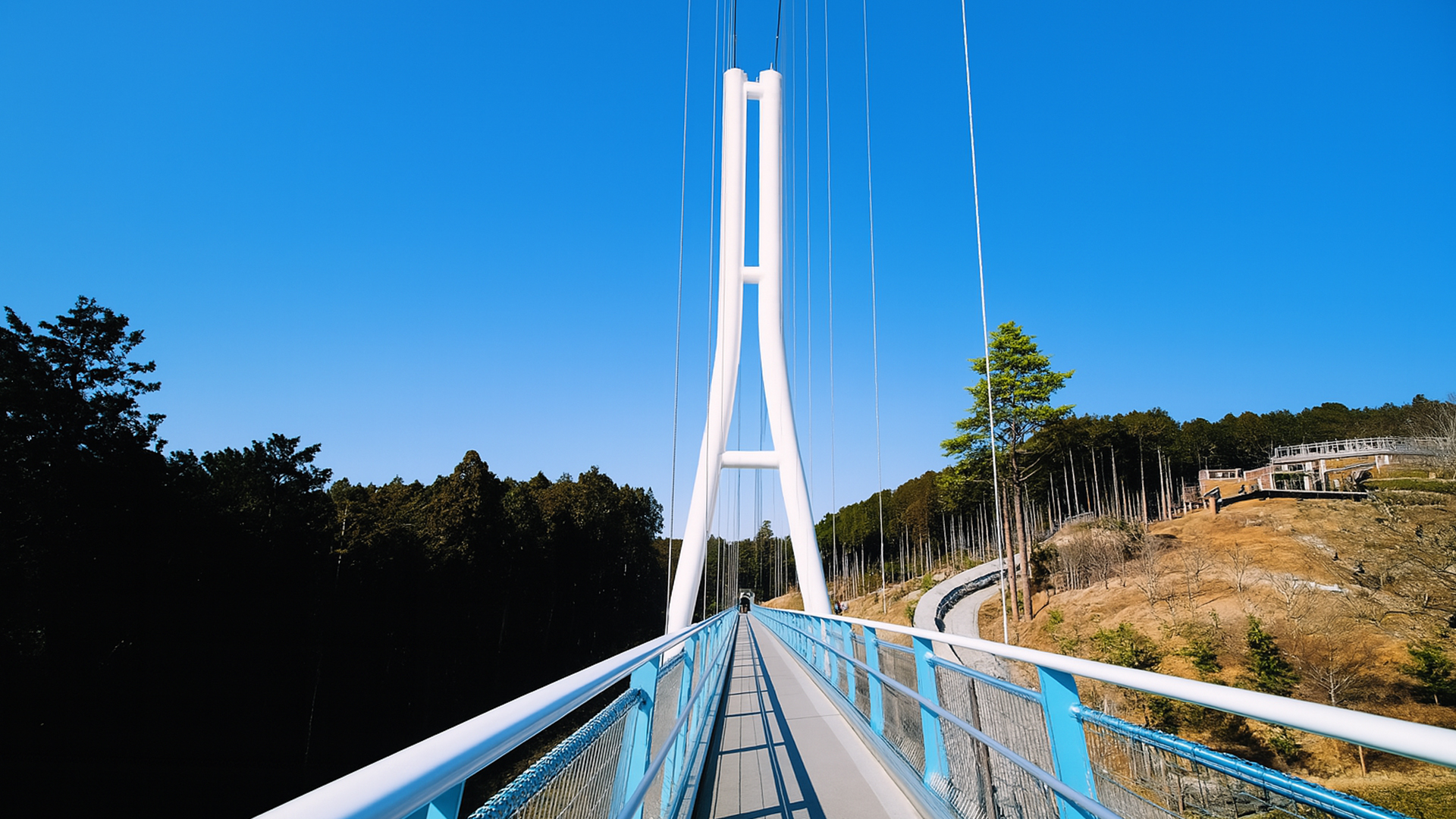Ponte Mishima Skywalk – Passeggiata Virtuale tra le Meraviglie Naturali ...