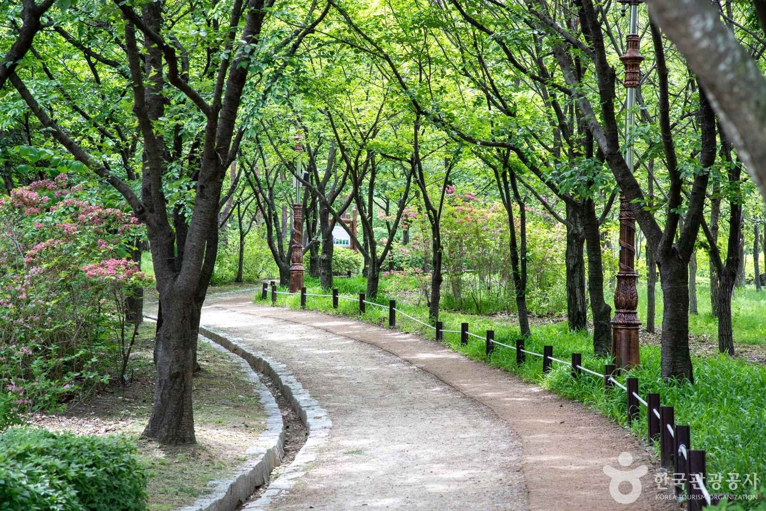 대전 폭염 이미지