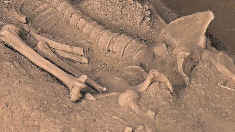 Sandali Snake Donna EMANUELA 667 - Doppio Laccio, Lavabili In Lavatrice, Made In Italy - Foto 2