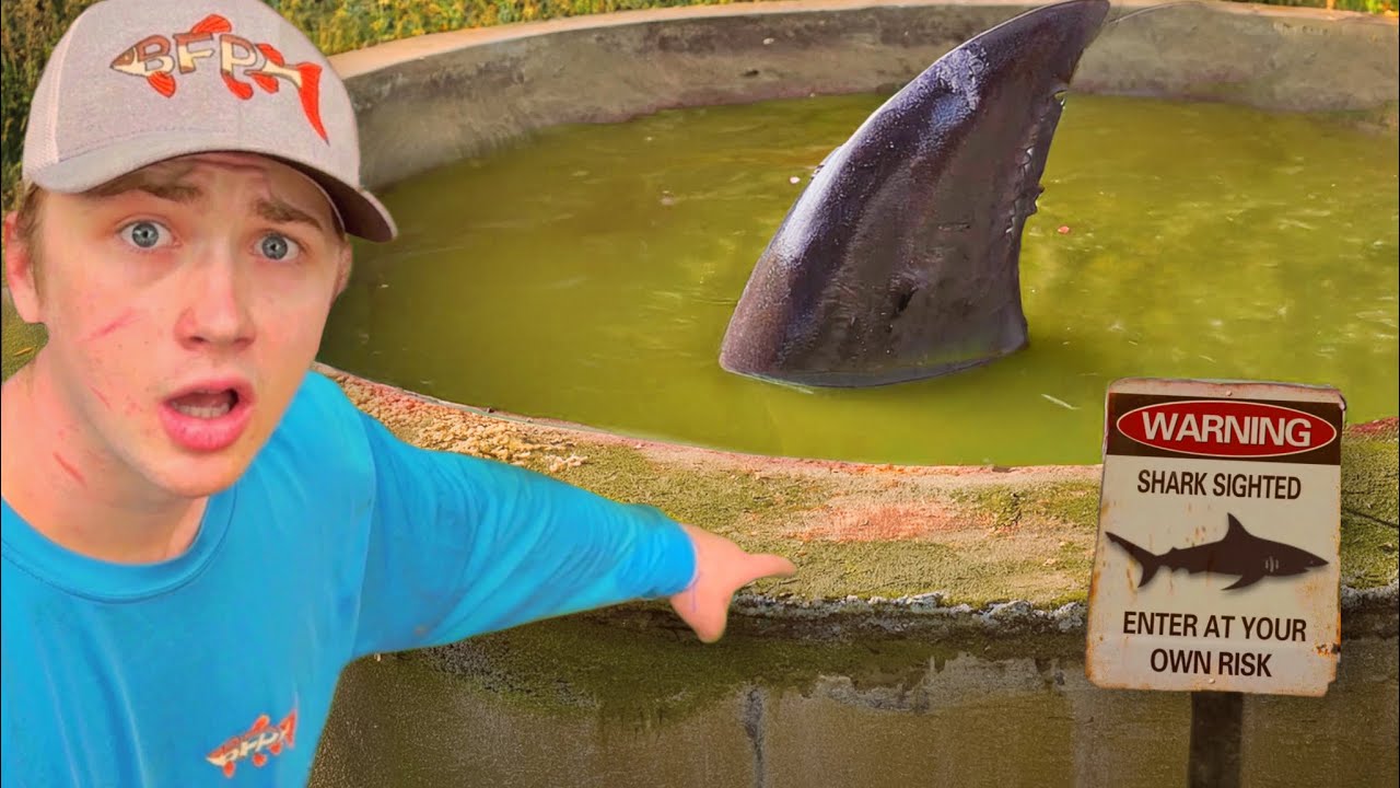 Exploring An Abandoned Pond Full Of Massive Fish
