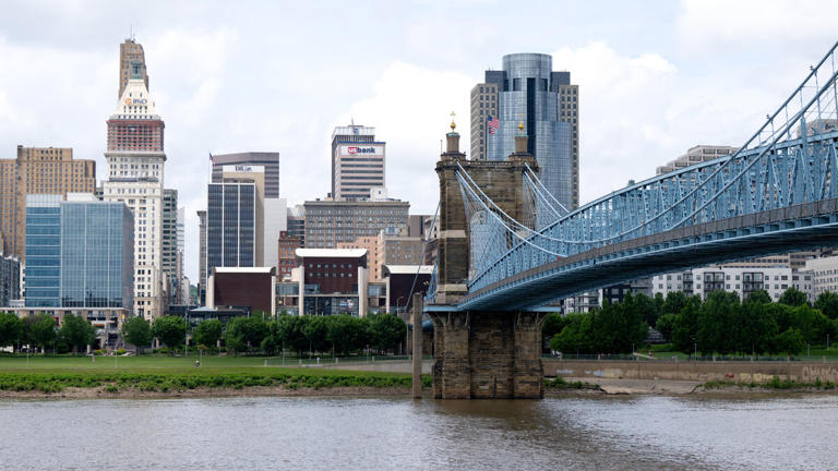 image not described image