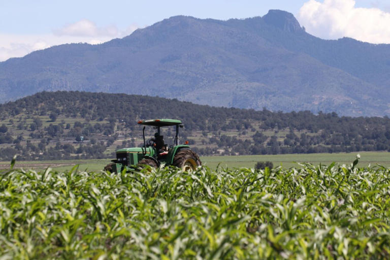 Estados Unidos aprieta al agro mexicano, pero corteja su mercado