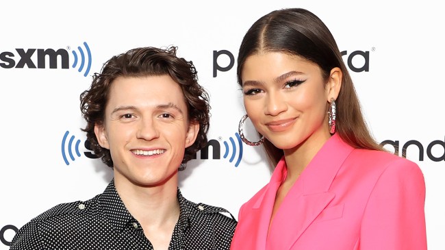 The Real Reason Zendaya & Tom Holland's Wedding Was Suddenly Put on Hold