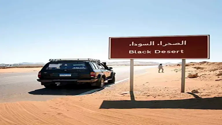 محمية الصحراء السوداء (10)