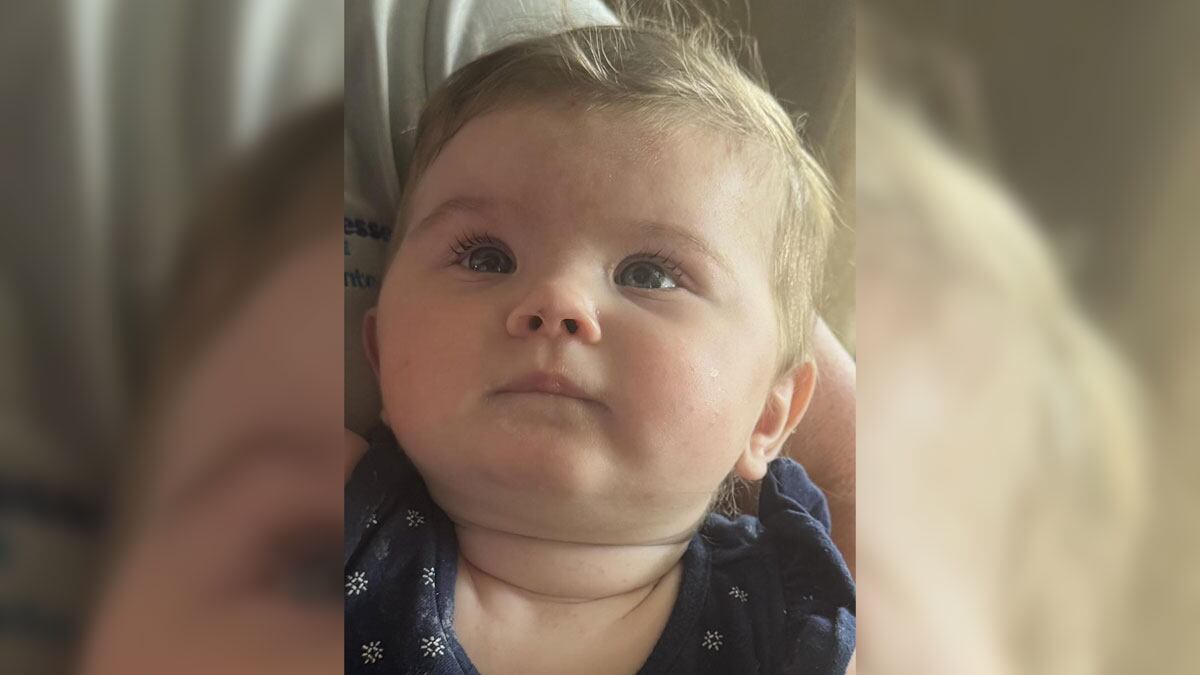 TBI seeking suspect(s) after 4 family members of abandoned baby