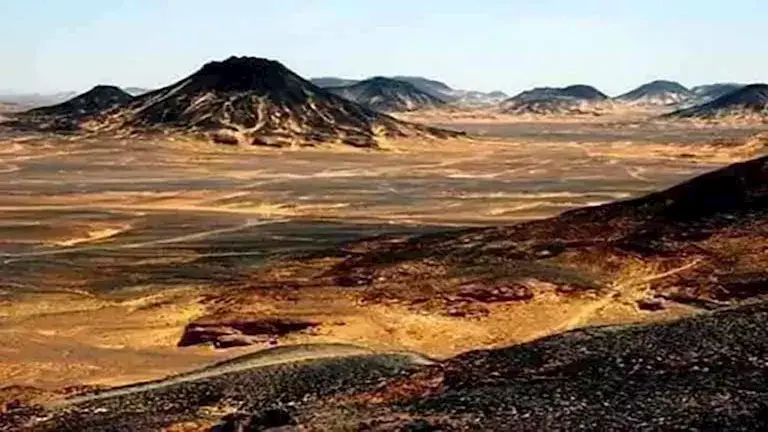 محمية الصحراء السوداء (3)