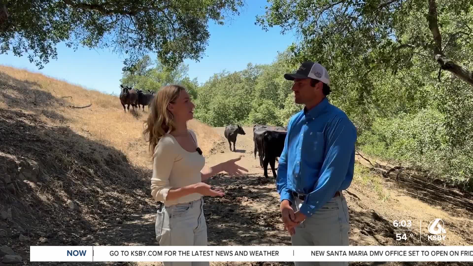 Local rancher explains what’s driving higher beef prices