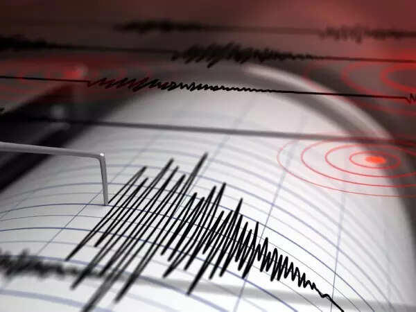 Earthquake magnitude scale 4 8