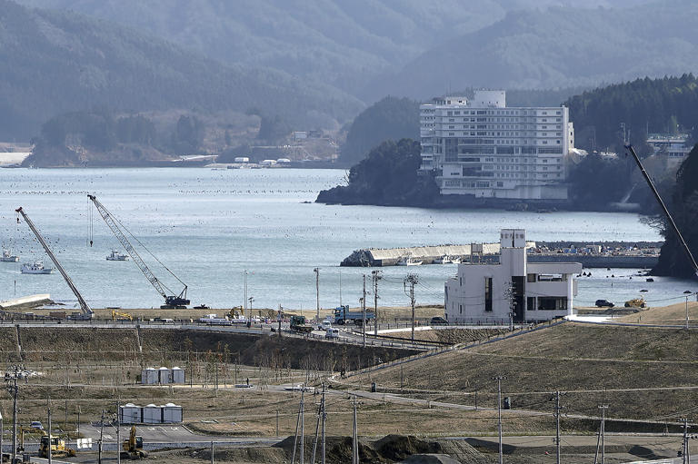 Japanese tsunami facts