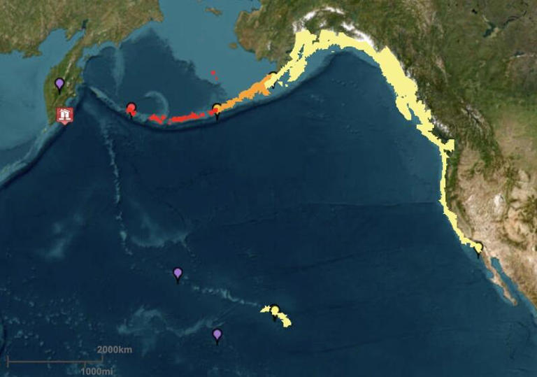 Tsunami alert newport beach