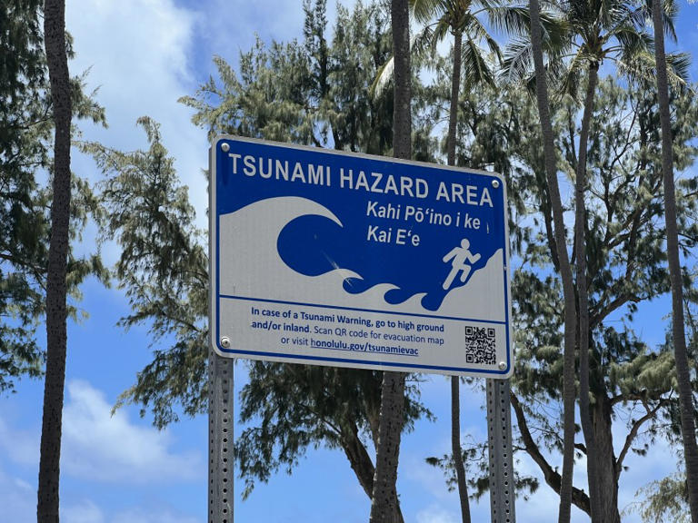 What does a tsunami alert mean