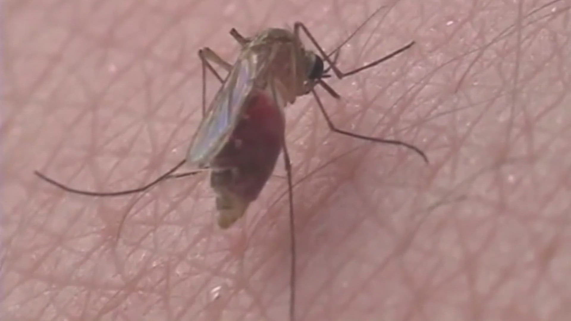 Midland Health Department responds to West Nile detection
