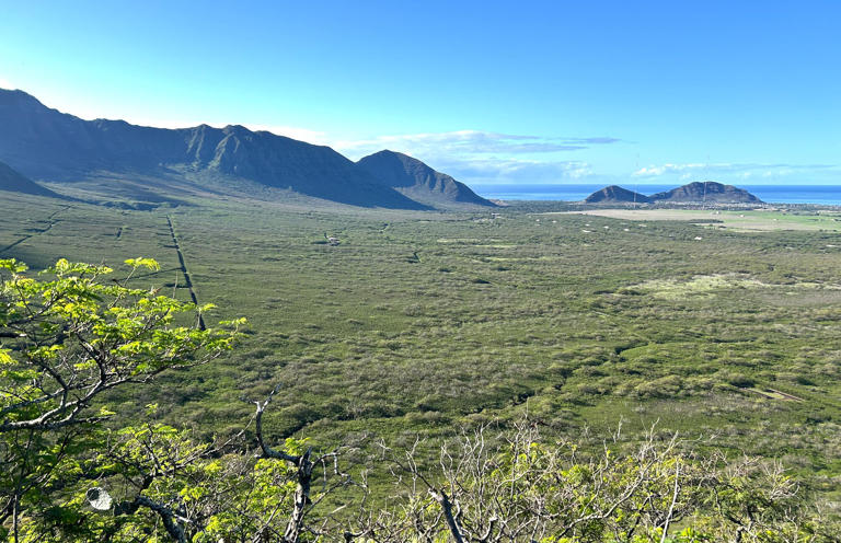 Oahu tsunami all clear today