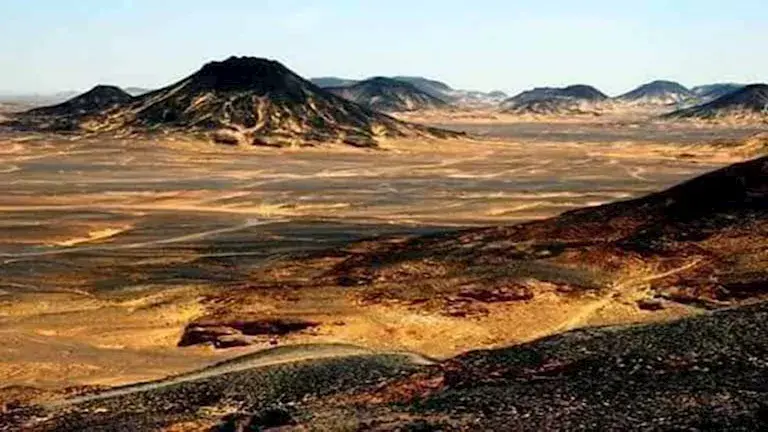 محمية الصحراء السوداء (8)
