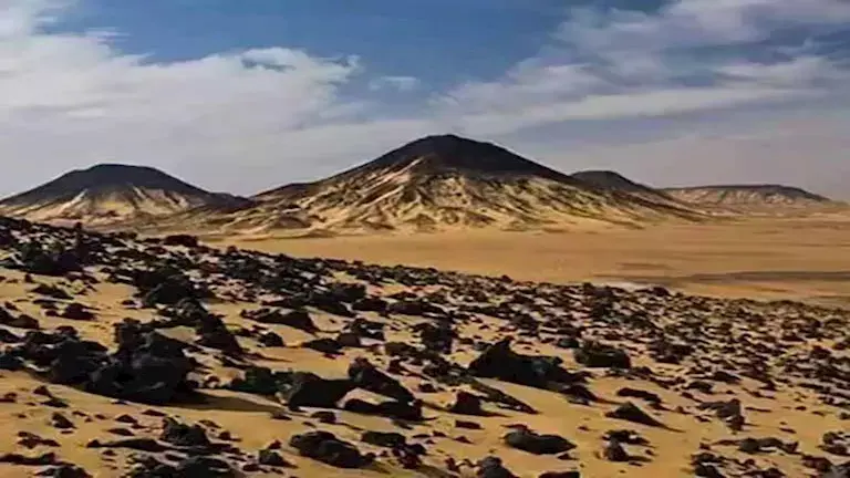 محمية الصحراء السوداء (14)