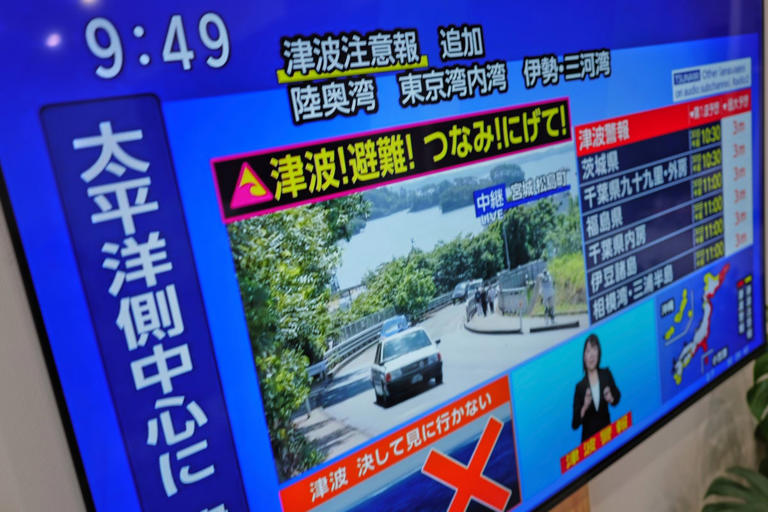 Japan tsunami government response