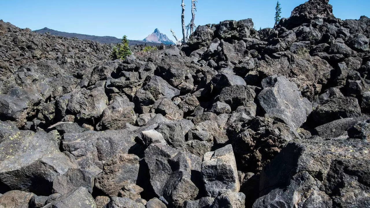The 3 Main Types of Rocks That Shape Our World