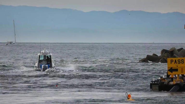 Bay area tsunami watch