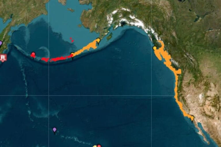 Tsunami in sf