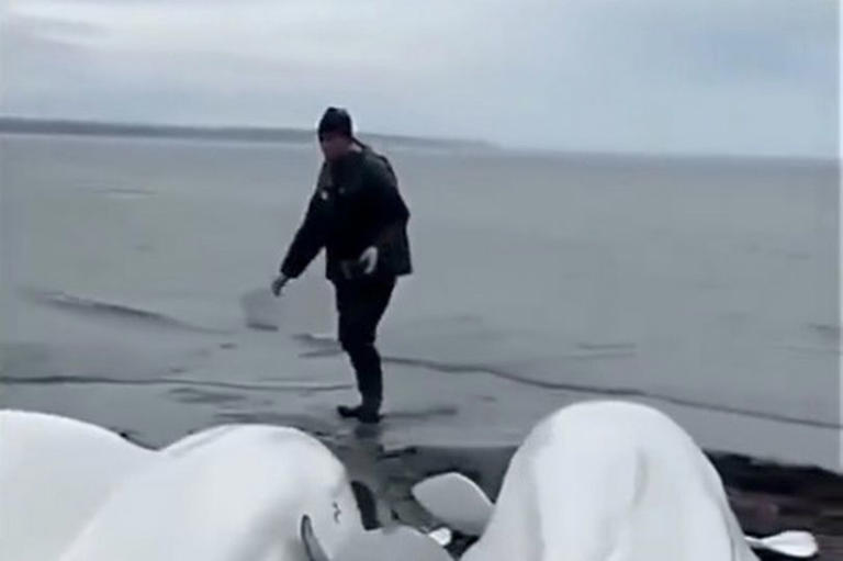 Northern california earthquake triggers tsunami warnings for the west coast
