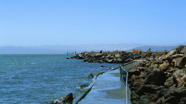 Tsunami warning bay area california