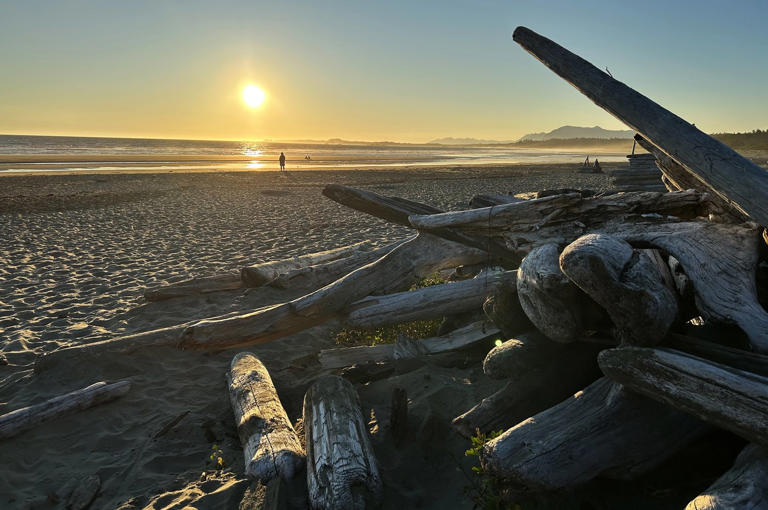 Long beach tsunami prediction