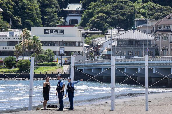 Japan tsunami washes whales ashore after massive 8.8-magnitude earthquake