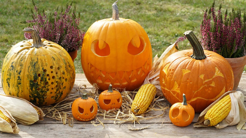 Halloween- – Kürbis-Serviettenring | Acryl Gruse Produktbild-Vorschau 5