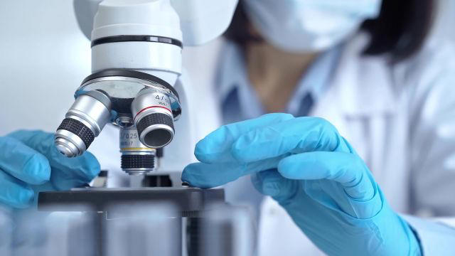 Scientists make breakthrough discovery in fight against widespread ...