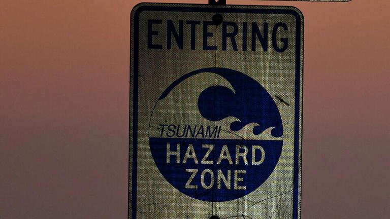 Tsunami advisory encinitas