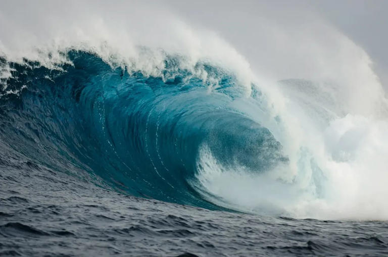 What is the tsunami warning system in the pacific ocean
