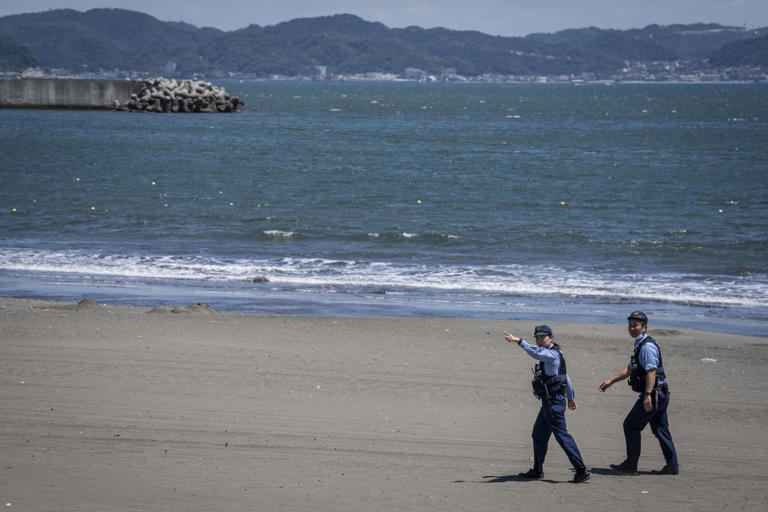 What does a tsunami warning