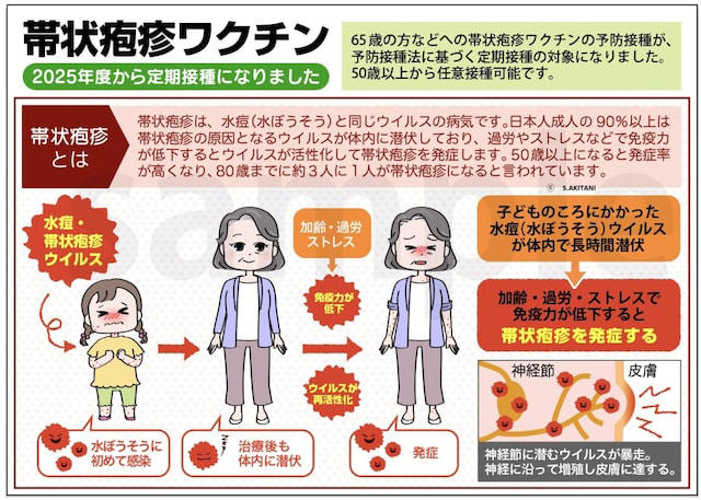 帯状疱疹ワクチンとは？（筆者作成）