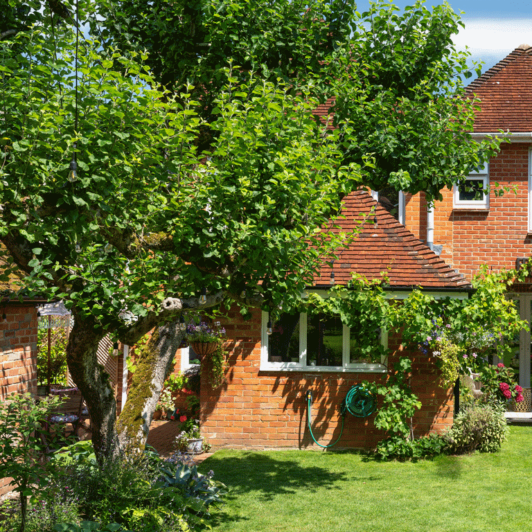 5 invasive trees you should never plant in your garden, no matter how ...
